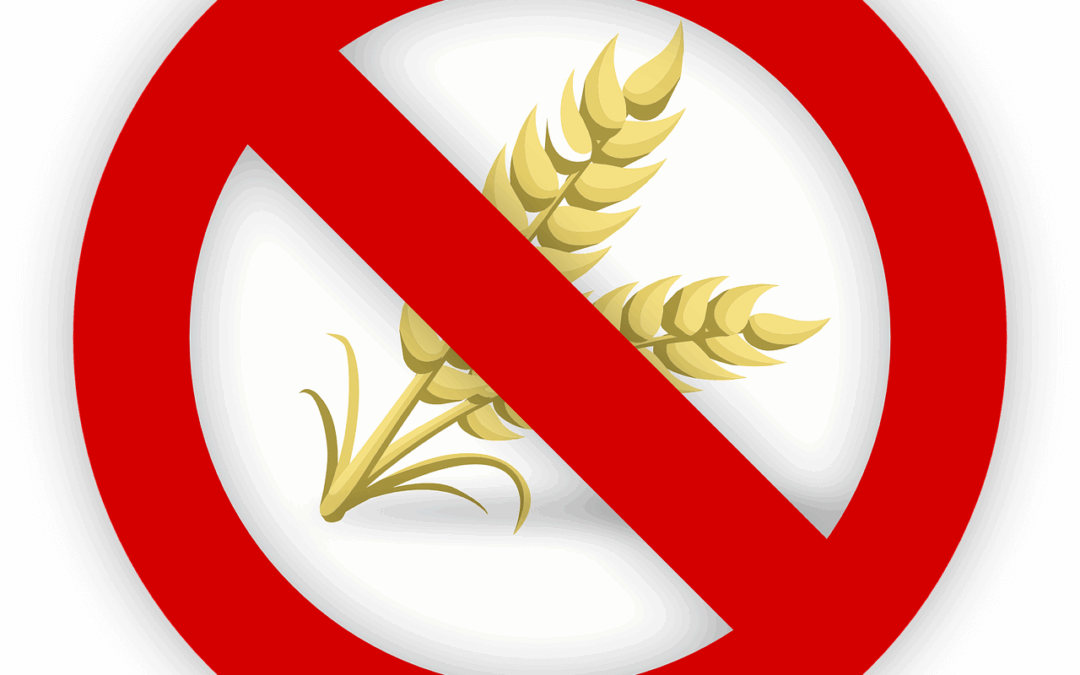 Glutenfreie und getreidefreie Ernährung | Erfahrungen | Rezepte | Ratgeber