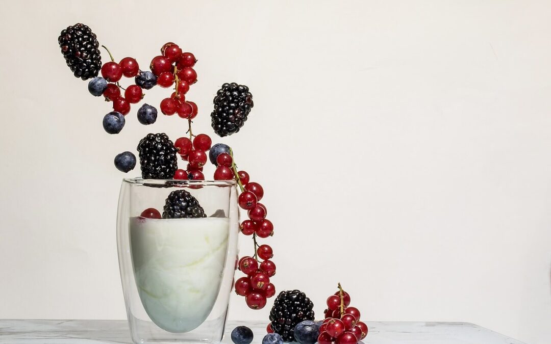 Bio Eiweißpulver Ratgeber: Empfehlung und Kaufratgeber